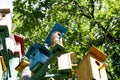 Lodge for birds Ã¢â¬â a nesting box